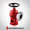 廠家批發(fā)SN65配卷盤專用室內消火栓