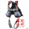 VERTICAL 2 1247.03全身安全帶訂購優惠