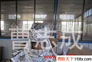 供應(yīng)消防隔熱服頭罩，防火頭盔，防火頭罩，高溫防護(hù)頭罩